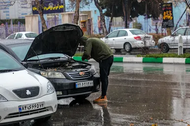 بارش باران در مشهد