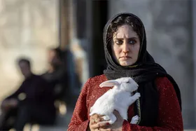 تعویق اکران &laquo;تی تی&raquo; با بازی الناز شاکردوست و هوتن شکیبا