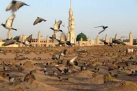 تاریخ شهادت امام حسن مجتبی (ع) هفتم یا ۲۸ ماه صفر است؟