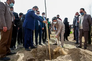پویش سراسری درخت‌کاری