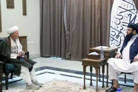 طالبان می&zwnj;گویند که به مشکلات جامعه شیعیان افغانستان رسیدگی می&zwnj;کنند