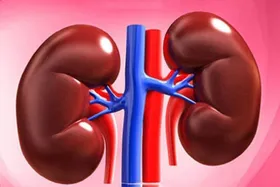 بی&zwnj;اختیاری ادرار، یکی از علائم اصلی اختلال در کف لگن است