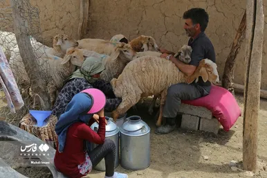 پدر، جانِ زندگی