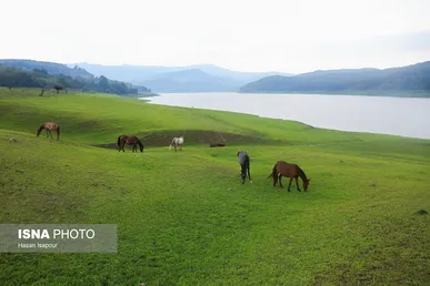 گزارش تصویری | ایران زیباست؛ سوادکوه