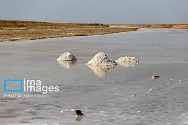 گزارش تصویری | برداشت نمک در دل کویر
