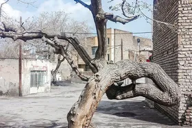 آبکوه مشهد نونوار می&zwnj;شود