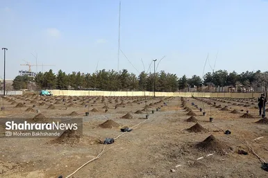 پویش سراسری درخت‌کاری در بوستان جهانشهر