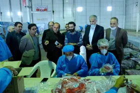 توزیع ۱۲ هزار بسته معیشتی میان خانواده&zwnj;های نیازمند توسط شهرداری/۱۵ هزار بسته دیگر آماده توزیع