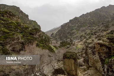ایران زیباست | مخمل کوه در گستره زاگرس - لرستان