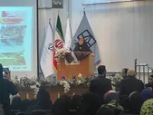 رییس مرکز ملی فرش دستباف: مرکز رشد تخصصی فرش دستباف در کشور راه‌اندازی می‌شود
