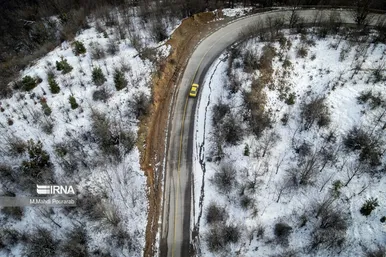 گلستان در زمستان