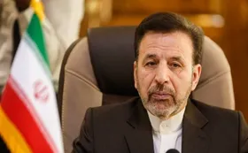 واعظی: افزایش فشارها اراده ملت را محکم&zwnj;تر می&zwnj;کند