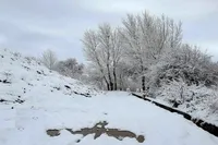 ویدئو|  قابی زیبا از ارتفاعات سوادکوه