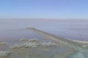 تالاب کجی نمکزار نهبندان در خراسان جنوبی، ۳۰ درصد آبگیری شد