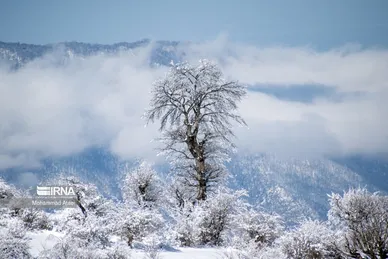 ایران زیباست | گلستان برفی