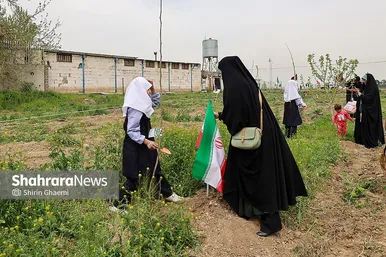 گزارش تصویری | طرح کاشت نهال به یاد دانش آموزان شهید مدرسه میناب