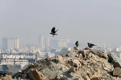 آلودگی هوا در مشهد (۱۹ آذر ۱۴۰۲)