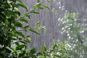 پیش&zwnj;بینی رگبار پراکنده و وزش باد شدید در برخی از استان&zwnj;های کشور (یکم مهر ۱۴۰۳)