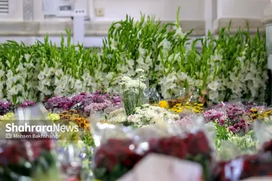 گل آرایی حرم مطهر رضوی در آستانه میلاد امام رضا (ع)