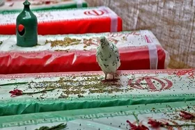 تولید آثار هنری مختلف برای معرفی شهدای غریب