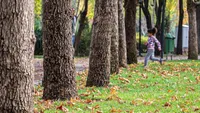 پیش‌بینی وزش باد و بارش باران در نقاط مختلف کشور (۲۹ شهریورماه ۱۴۰۲)