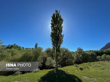 ایران زیباست | طبیعت بهاری شازند