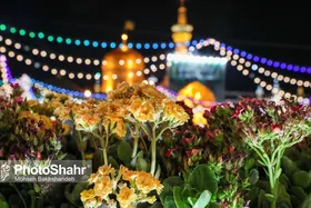 ویدئو | مداحی &laquo;امام&zwnj;رضا خیلی دوستت دارم&raquo; در کابین خلبان هواپیما توسط خادمان کاروان &laquo;زیر سایه خورشید&raquo;