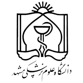 دانشجویان غیرایرانی مقاطع کارشناسی ارشد و دکتری تخصصی می&zwnj;توانند از بورس نوع دوم استفاده کنند