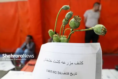 عکس‌هایی از نمایشگاه کشفیات پلیس در مشهد