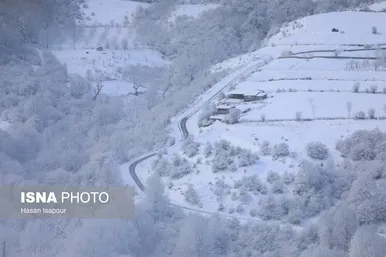گزارش تصویری | بارش برف زمستانی در سوادکوه - مازندران