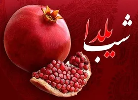 وعده وزیر فرهنگ و ارشاد برای تهیه بسته ویژه شب یلدای هنرمندان