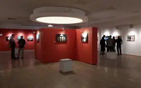 گشایش نمایشگاه &laquo;سوگ در آینه&raquo; در نگارخانه رضوان