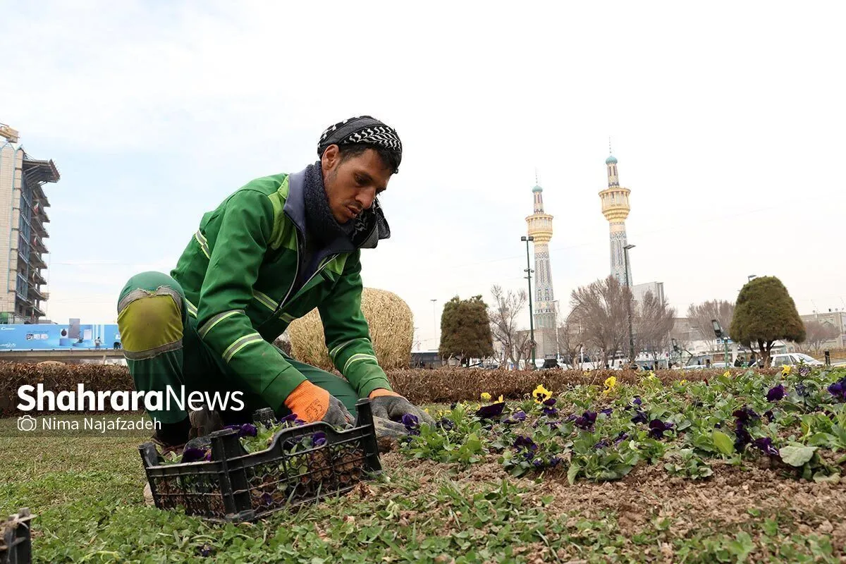 اصلاح ۷۰ هکتار از فضای سبز مشهد با الگوی کاشت کم‌مصرف