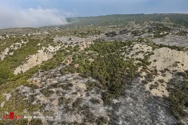 آتش سوزی منطقه حفاظت شده جهان نمای  گلستان