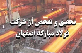 توضیح مجلس درباره گزارش تحقیق و تفحص فولاد مبارکه| مجلس اسامی را قبل از بررسی دستگاه قضایی علنی نکرده و نمی&zwnj;کند