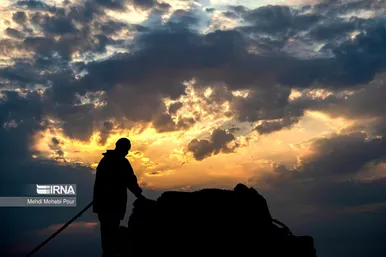 آخرین روز صید ماهی های استخوانی در مازندران