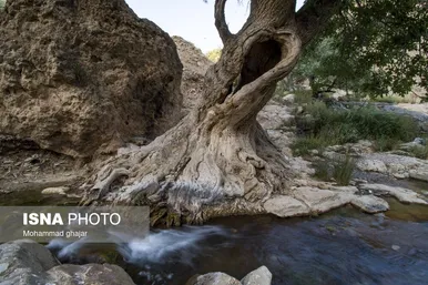 ایران زیباست | مجموعه آبشارهای گریت خرم آباد - استان لرستان