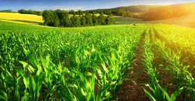 ۱۶ هزار میلیارد ریال تسهیلات یارانه&zwnj;ای برای بخش کشاورزی در سال ۱۴۰۱