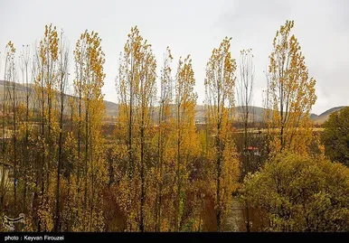 ایران زیباست | پاییز رنگارنگ کردستان