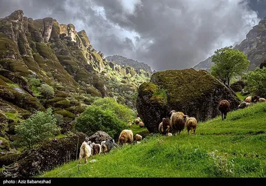 ایران زیباست | طبییعت بهاری منطقه کوهستانی هفت حوض - خرم آباد