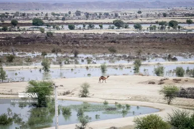 سیلِ سیستان