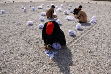 چیدمان چهار هزار درنای کاغذی در حمایت از کودکان غزه