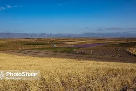 پیشنهاد جدید افغانستان به خراسان رضوی: به&zwnj;ازای آب، محصولات کشاورزی بگیرید