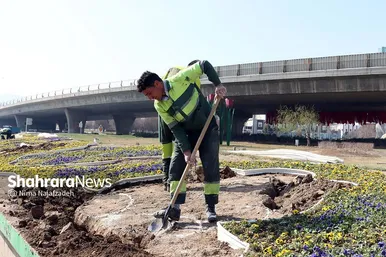 گل‌کاری در نقاط مختلف شهر مشهد