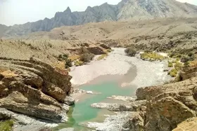 رئیس سازمان حفاظت محیط زیست از تلاش برای پیگیری مسئله حقابه هامون خبرداد