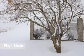 کاهش دما از روز جمعه در خراسان رضوی | تداوم آلودگی هوا در مشهد (٢۷ دی&zwnj;ماه ١۴٠١)