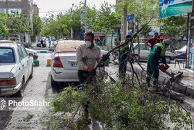 سرعت باد در خراسان رضوی افزایش می&zwnj;یابد