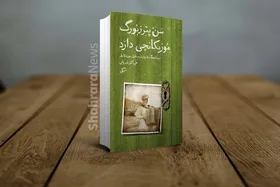 درباره کتاب &laquo;سن پترزبورگ موزیکانچی دارد&raquo; به قلم علی اکبر شیروانی