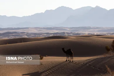 ایران زیباست | «کویر مصر»