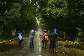 الأزهر: تعلیق تحصیل دختران در دانشگاه&zwnj;های افغانستان با شریعت اسلامی مغایر است